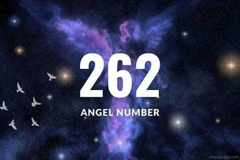 ANGEL NUMBER 262 (Meanings & Symbolism)